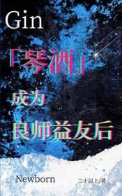 琴酒综文