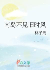 南岛不见旧时风讲了什么