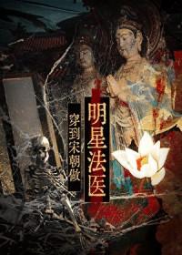 穿到宋朝做明星法医txt百度