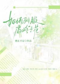 高岭之花之使用指南