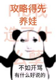 攻略指什么