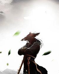 武林逸史[出书版