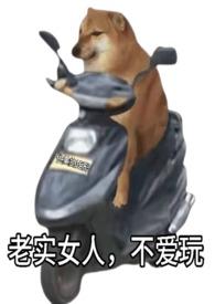 老实女人不爱玩快穿作者优美的矩形