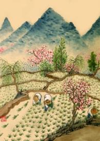 重生年代文的路人甲最新章节