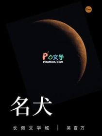 名犬柯基多少钱一只