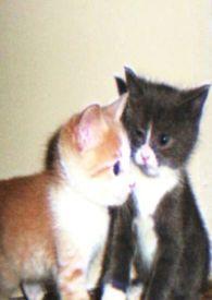 娇小姐回头后笔趣阁最新章节